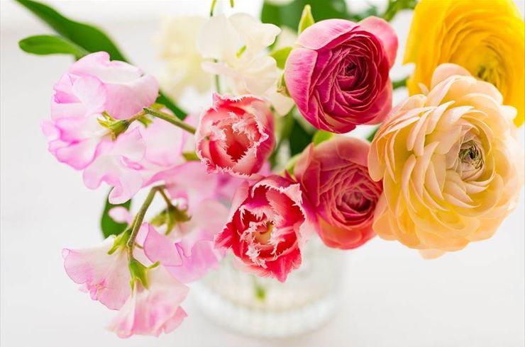 鮮やかな色とりどりの花